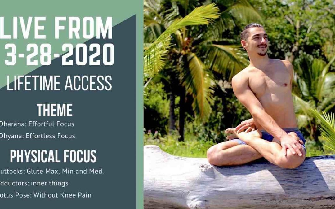 LIVE 3-28-2020