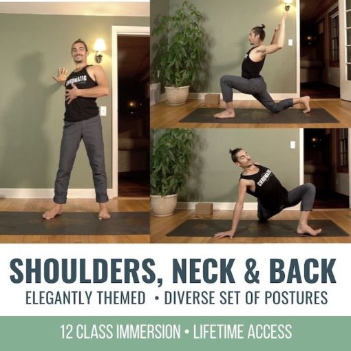 Online Yoga Classes for the Shoulders, Neck and Back