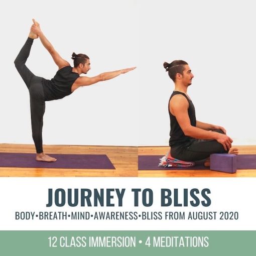 12 Online Yoga Classes with Breathwork & Meditation focused on The Kosha's