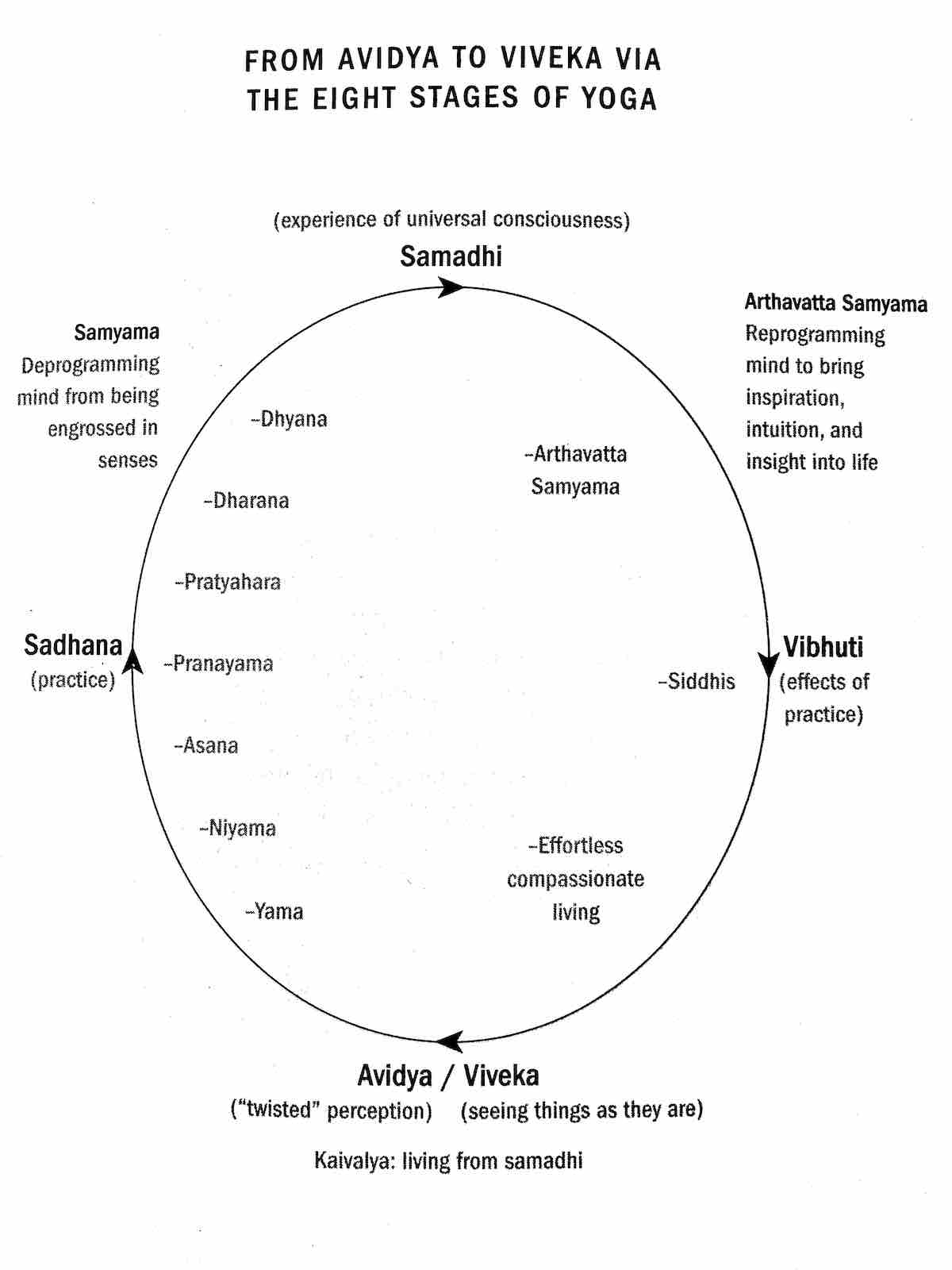 avidya-viveka