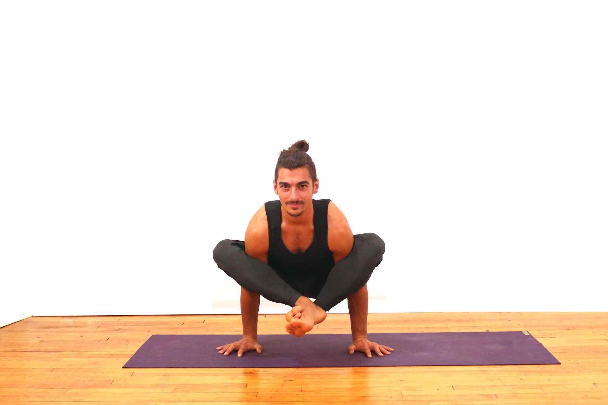 arm balances: bujapidasana arm balances: yoga for strength and flexibility
