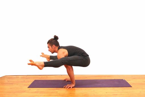 firefly pose titibhasana