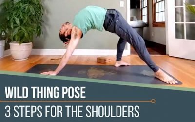 WILD THING YOGA POSE 3 SHOULDER ACTIONS