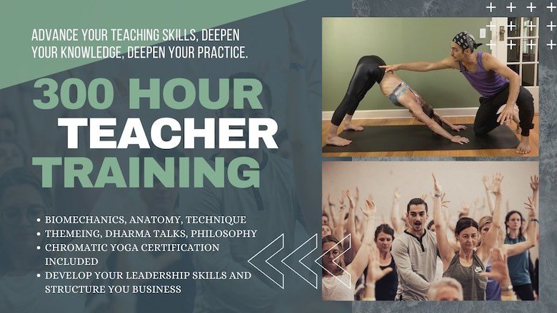 Chaturanga yoga pose alignment and anatomy - THEYOGIMATT