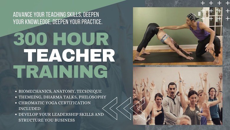 the best yoga teacher training for alignment