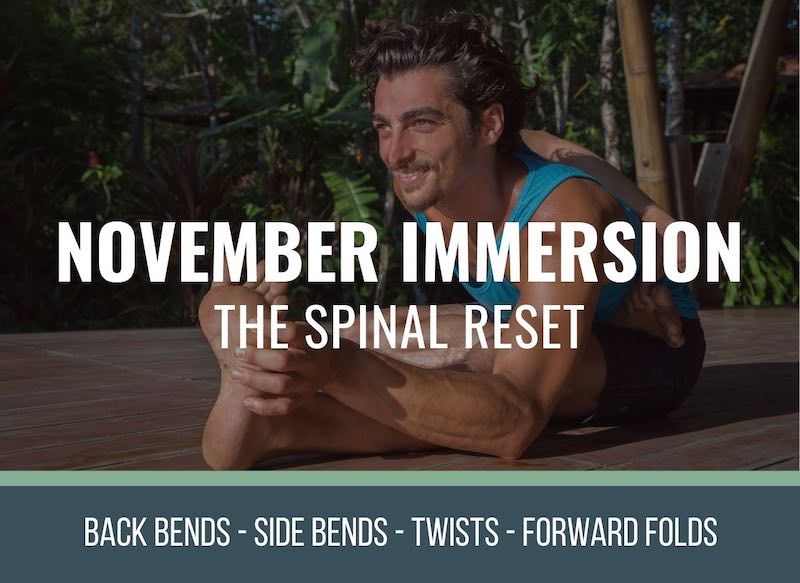 release low back pain in backbends with the spinal reset immersion