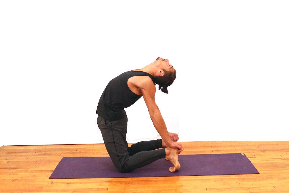 Camel pose back bend