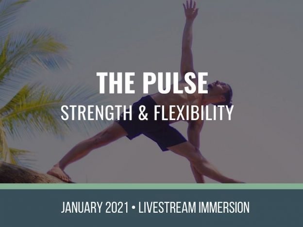 The Pulse course image