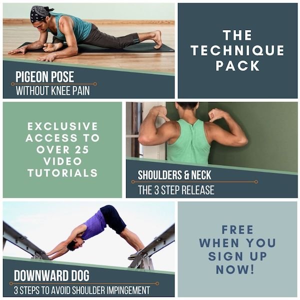 Chaturanga yoga pose alignment and anatomy - THEYOGIMATT