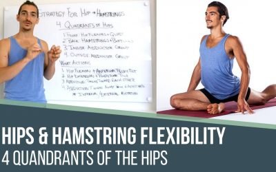 hips and hamstring flexibility