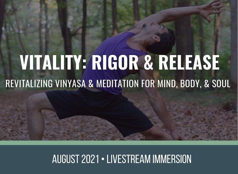 Vinyasa and Meditation Yoga Immersion