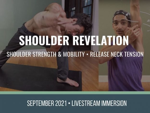 shoulder revelation course image