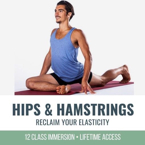 Online Classes to Increase Hip and Hamstring Flexibility