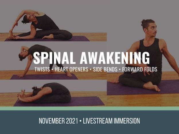 Spinal Awakening course image