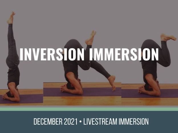 Inversion Immersion course image