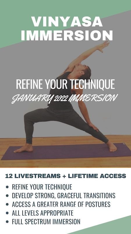 OVER 15 FREE VIDEOs AND BLOGS FOR A HEALTHIER, SMARTER WAY TO PRACTICE. VINYASA IMMERSION