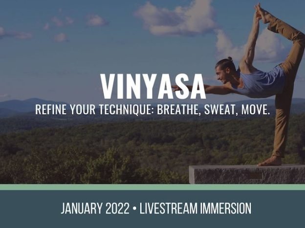 Vinyasa course image