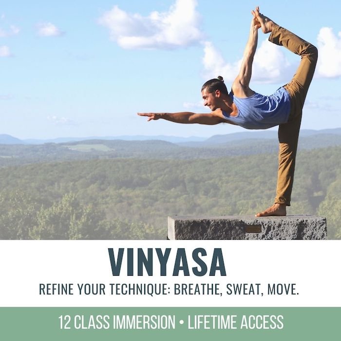 Vinyasa: 12 Class Online Immersion