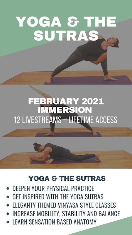 OVER 15 FREE VIDEOs AND BLOGS FOR A HEALTHIER, SMARTER WAY TO PRACTICE. VINYASA IMMERSION