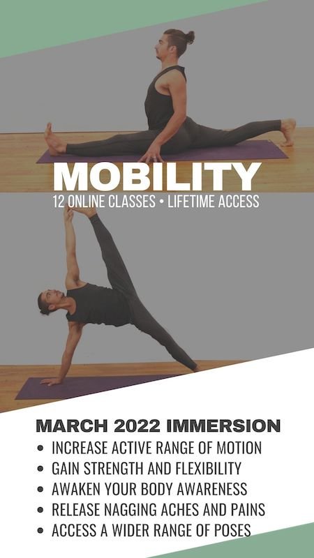 OVER 15 FREE VIDEOs AND BLOGS FOR A HEALTHIER, SMARTER WAY TO PRACTICE. VINYASA IMMERSION