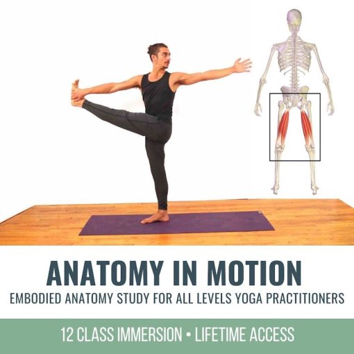 12 Online Yoga classes to Learn Anatomy