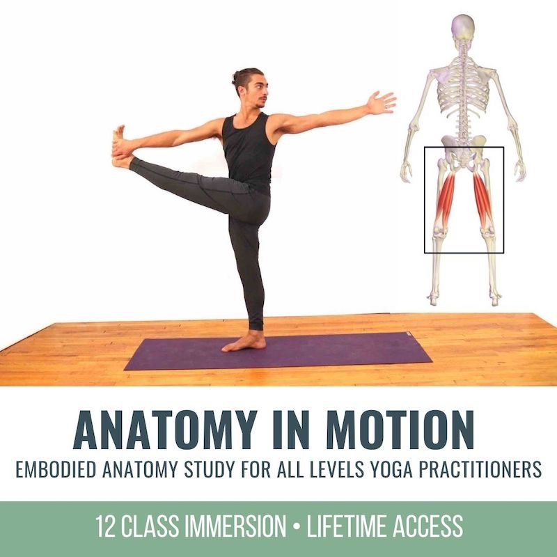 12 Online Yoga classes to Learn Anatomy 