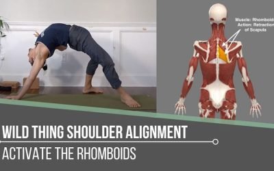 Wild Thing Shoulder Alignment