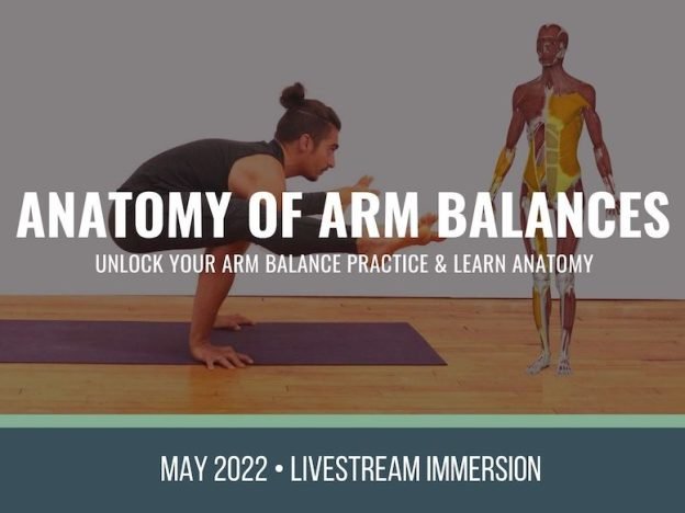 Anatomy of Arm Balances course image