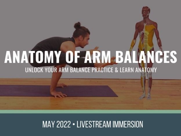 anatomy of arm balances course access image