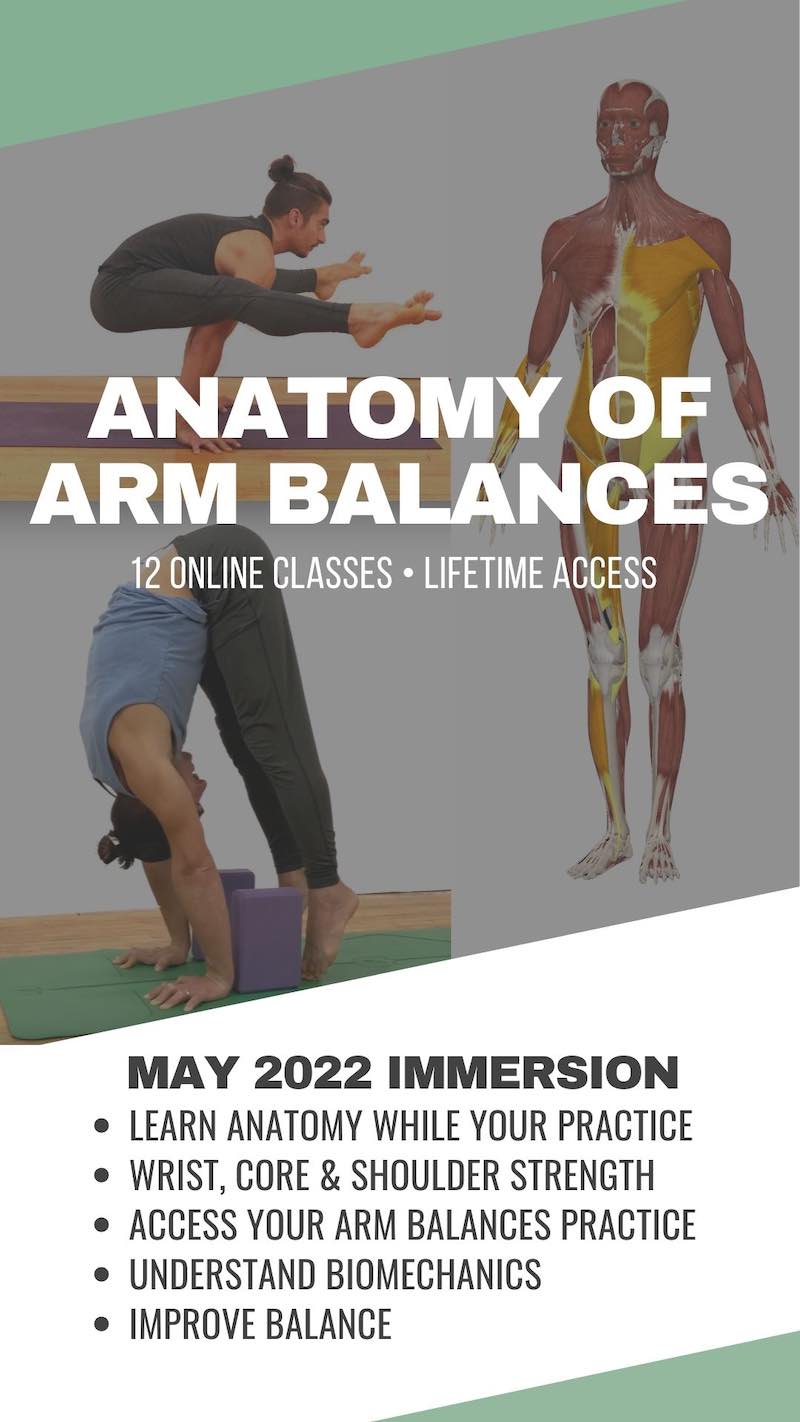 Anatomy of Arm Balances online yoga classes 