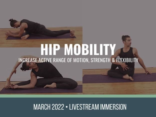 Hip Mobility course image