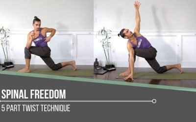 Spinal Freedom In Revolved Low Lunge