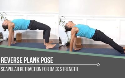 Reverse Plank Pose