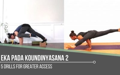 Eka Pada Koundinyasana 2