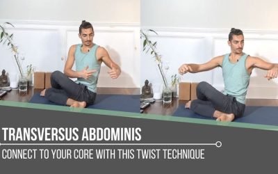 Transversus Abdominis