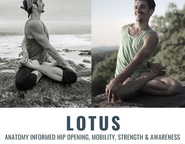 Lotus course image