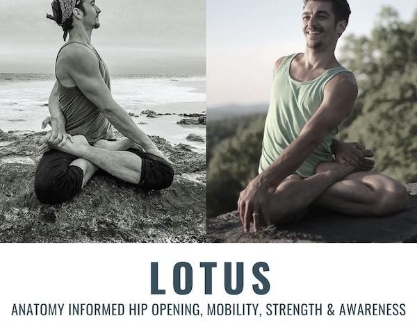 lotus pose online yoga classes