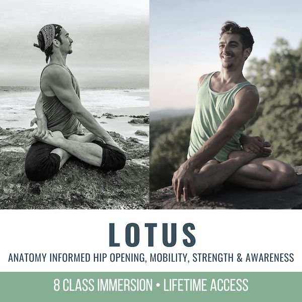 lotus pose online yoga classes