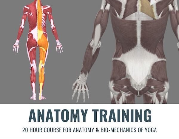 Teacher Training Anatomy course image