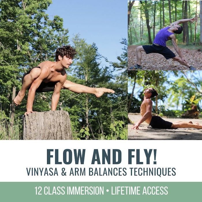 Archna Mohan chromatic - 19 online classes for anatomy of arm balances