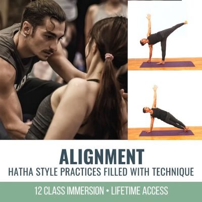 Chaturanga yoga pose alignment and anatomy - THEYOGIMATT