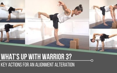 What’s Up With Warrior 3?