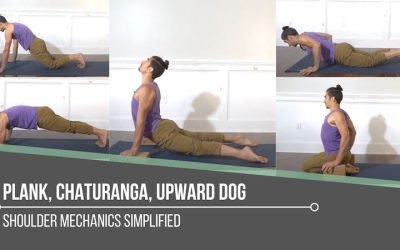 Plank, Chaturanga, Upward Dog