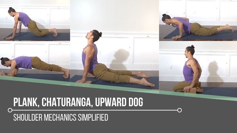 HOW TO CHATURANGA TO UPWARD DOG, Chaturanga dandasana