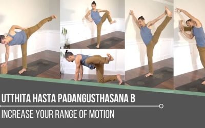 Utthita Hasta Padangusthasana B