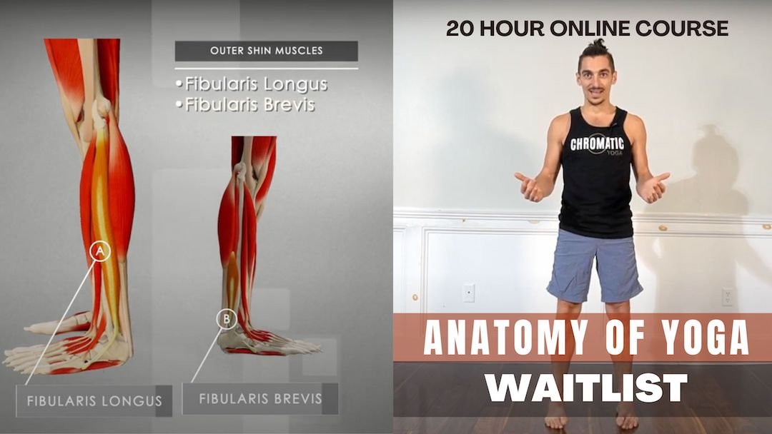 Brown Modern Accoustic Live Stream Youtube Channel Art - 1 YOGA TEACHER TEACHING YOGA