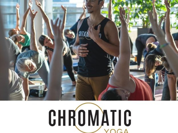 Chromatic Yoga 15 Hour Online Immersion course image
