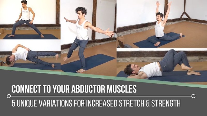 Chaturanga yoga pose alignment and anatomy - THEYOGIMATT