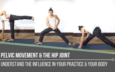 Pelvic Movement & The Hip Joint