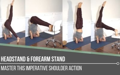 Headstand and Forearm Stand